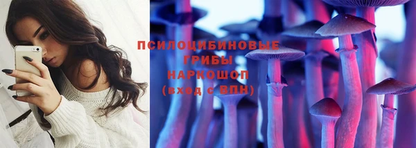 стаф Алзамай