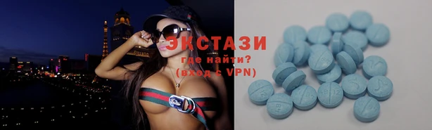 стаф Алзамай