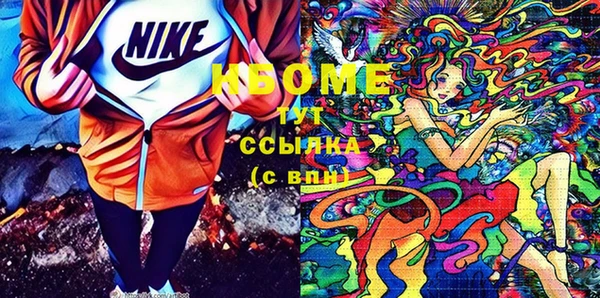 стаф Алзамай