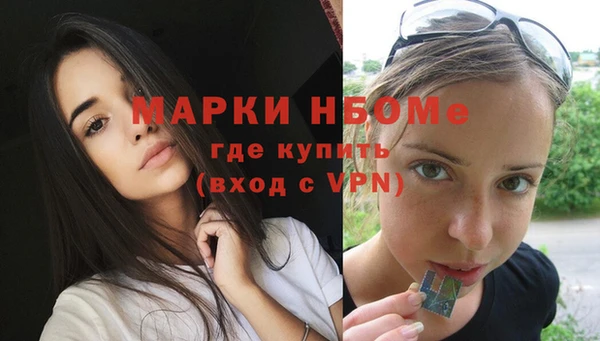 стаф Алзамай