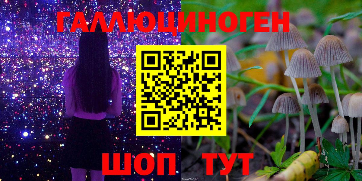 Галлюциногенные грибы Psilocybine cubensis Слободской