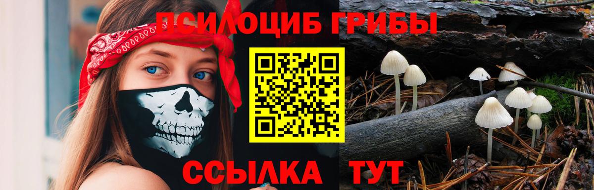 Слободской  Псилоцибиновые грибы MAGIC MUSHROOMS  Вход с VPN 