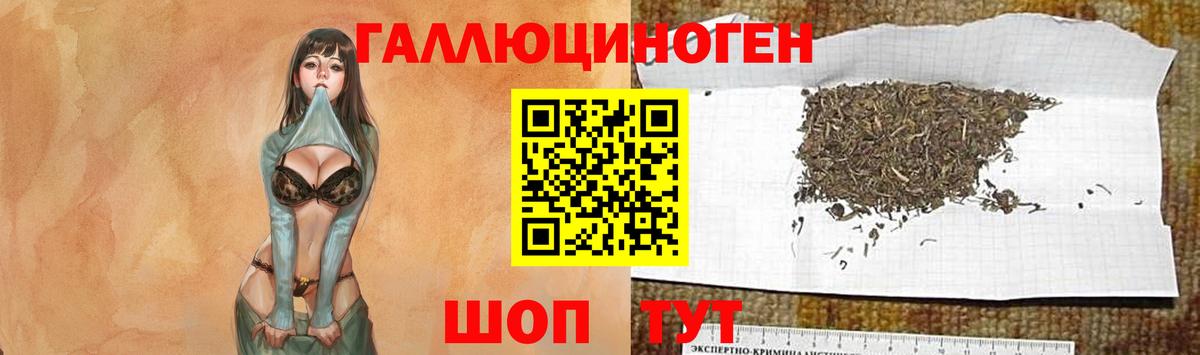Галлюциногенные грибы мицелий Слободской