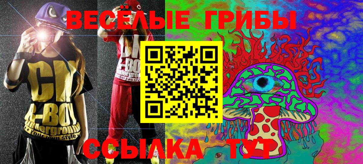 Слободской  Галлюциногенные грибы Cubensis  Вход с VPN 